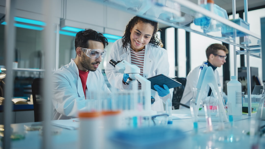 Regulatory/Publication-Oriented Studies